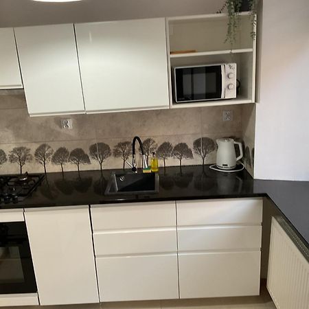 Omorika Na Zamkowej Apartment Krakow Exterior photo