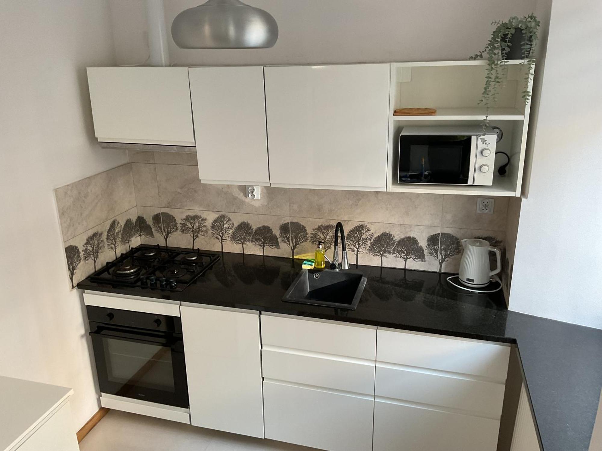 Omorika Na Zamkowej Apartment Krakow Exterior photo